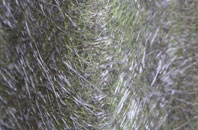 Doncaster fibreglass roof work